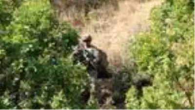 Son dakika... İçişleri Bakanlığı: Bitlis'te 'Yıldırım-12 Beşkaynak Operasyonu' başlatıldı Son dakika... İçişleri Bakanlığı: Bitlis'te 'Yıldırım-12 Beşkaynak Operasyonu' başlatıldı