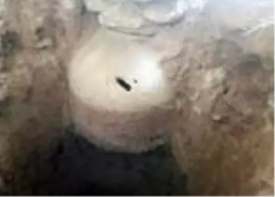 Kaçak kazıda buldukları tarihi eserlerle suçüstü yakalandılar Kaçak kazıda buldukları tarihi eserlerle suçüstü yakalandılar