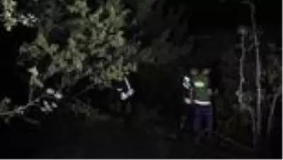 Orman yangınında 5 dekar alan zarar gördü - KASTAMONU Orman yangınında 5 dekar alan zarar gördü - KASTAMONU