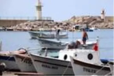 Palamut, karaya çıkmadan alıcı buluyor Palamut, karaya çıkmadan alıcı buluyor