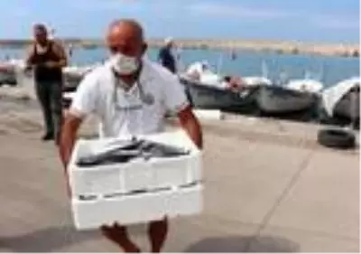 Palamut, karaya çıkmadan alıcı buluyor Palamut, karaya çıkmadan alıcı buluyor