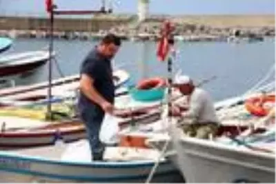 Palamut, karaya çıkmadan alıcı buluyor Palamut, karaya çıkmadan alıcı buluyor