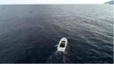 Palamut, karaya çıkmadan alıcı buluyor Palamut, karaya çıkmadan alıcı buluyor