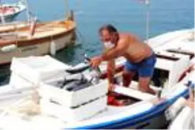 Palamut, karaya çıkmadan alıcı buluyor Palamut, karaya çıkmadan alıcı buluyor