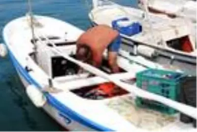Palamut, karaya çıkmadan alıcı buluyor Palamut, karaya çıkmadan alıcı buluyor