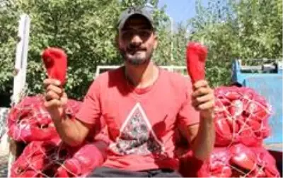 Şarkı söyleyerek sokak sokak salçalık biber satıyor Şarkı söyleyerek sokak sokak salçalık biber satıyor