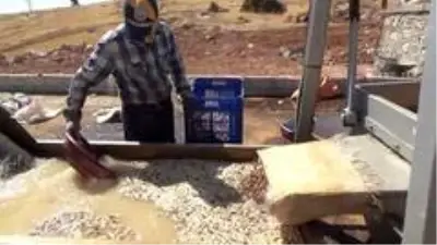 Siirt fıstığının tarladan tezgaha zorlu yolculuğu Siirt fıstığının tarladan tezgaha zorlu yolculuğu