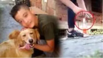 Sosyal medyada yayınlamak için çektikleri video 14 yaşındaki çocuğun hayatını kararttı Sosyal medyada yayınlamak için çektikleri video 14 yaşındaki çocuğun hayatını kararttı