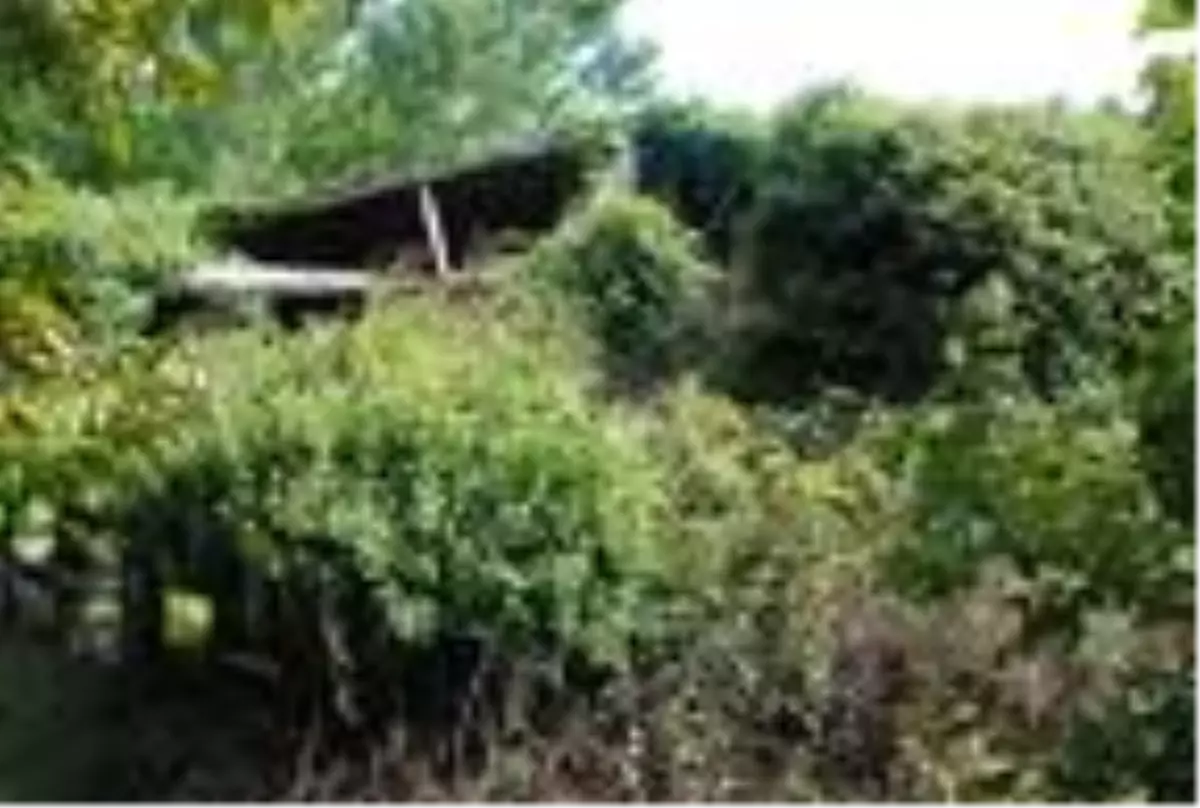 Tarihi caminin tekrar ibadete açılmasını istiyorlar