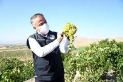 Tarım ve Orman İl Müdürü Mustafa Şahin: 'Kayseri bağcılıkta da olması gereken yere gelecek' Tarım ve Orman İl Müdürü Mustafa Şahin: 'Kayseri bağcılıkta da olması gereken yere gelecek'