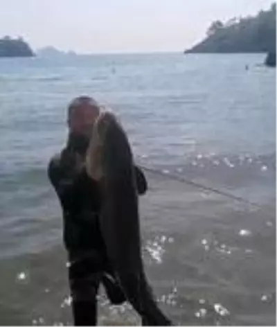 Tatil için gittiği Fethiye'de zıpkınla 35 kilo, 165 santimetre boyunda akya balığı yakaladı Tatil için gittiği Fethiye'de zıpkınla 35 kilo, 165 santimetre boyunda akya balığı yakaladı