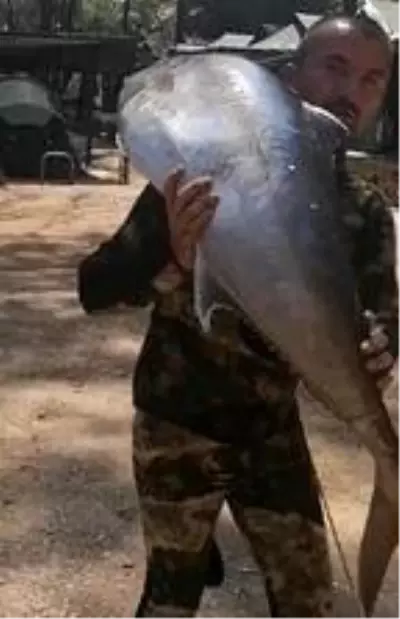 Tatil için gittiği Fethiye'de zıpkınla 35 kilo, 165 santimetre boyunda akya balığı yakaladı Tatil için gittiği Fethiye'de zıpkınla 35 kilo, 165 santimetre boyunda akya balığı yakaladı