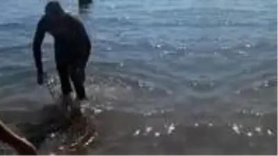 Tatil için gittiği Fethiye'de zıpkınla 35 kilo, 165 santimetre boyunda akya balığı yakaladı Tatil için gittiği Fethiye'de zıpkınla 35 kilo, 165 santimetre boyunda akya balığı yakaladı