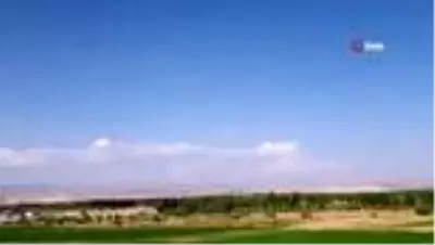 Tedavileri tamamlanan kuşlar doğaya bırakıldı Tedavileri tamamlanan kuşlar doğaya bırakıldı