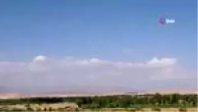 Tedavileri tamamlanan kuşlar doğaya bırakıldı Tedavileri tamamlanan kuşlar doğaya bırakıldı