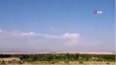 Tedavileri tamamlanan kuşlar doğaya bırakıldı Tedavileri tamamlanan kuşlar doğaya bırakıldı