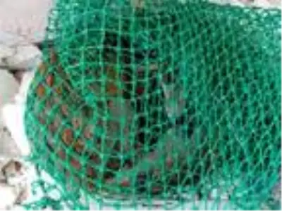 Terk edilmiş binada mahsur kalan tilki kurtarıldı Terk edilmiş binada mahsur kalan tilki kurtarıldı