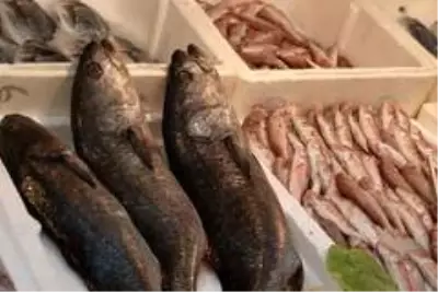Tezgahlar balıkla doldu taştı, fiyatlar yarı yarıya düştü Tezgahlar balıkla doldu taştı, fiyatlar yarı yarıya düştü