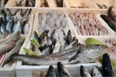 Tezgahlar balıkla doldu taştı, fiyatlar yarı yarıya düştü Tezgahlar balıkla doldu taştı, fiyatlar yarı yarıya düştü