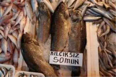Tezgahlar balıkla doldu taştı, fiyatlar yarı yarıya düştü Tezgahlar balıkla doldu taştı, fiyatlar yarı yarıya düştü