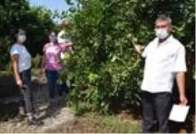 TIR'da 'Akdeniz meyve sineği vurmuş 1 portakal çıksa, hiçbir ülke ürünü kabul etmiyor' TIR'da 'Akdeniz meyve sineği vurmuş 1 portakal çıksa, hiçbir ülke ürünü kabul etmiyor'