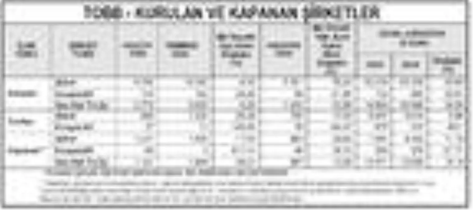 TOBB-Kurulan şirket aylık yüzde 8.3 azaldı, yıllık yüzde 76.42 arttı