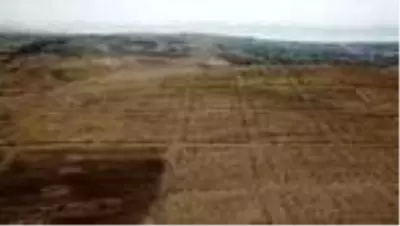 Van'da ızgara planlı kent kalıntısı gün yüzüne çıkarılacak Van'da ızgara planlı kent kalıntısı gün yüzüne çıkarılacak