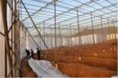 Yüksek gerilim hattına temas eden işçi, akıma kapılarak yaşamını yitirdi Yüksek gerilim hattına temas eden işçi, akıma kapılarak yaşamını yitirdi
