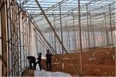 Yüksek gerilim hattına temas eden işçi, akıma kapılarak yaşamını yitirdi Yüksek gerilim hattına temas eden işçi, akıma kapılarak yaşamını yitirdi