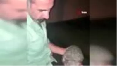 Aç kirpiler mesken tuttukları evde bisküvi ve cevizle karınlarını doyuruyor Aç kirpiler mesken tuttukları evde bisküvi ve cevizle karınlarını doyuruyor