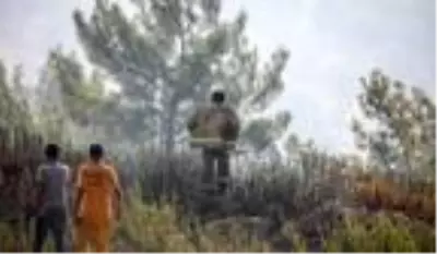 Son dakika haberi | Adrasan'daki yangında 60 hektar ormanlık alan küle döndü Son dakika haberi | Adrasan'daki yangında 60 hektar ormanlık alan küle döndü