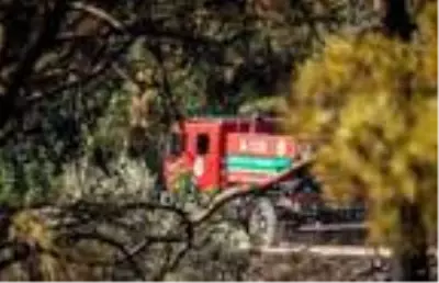 Son dakika haberi | Adrasan'daki yangında 60 hektar ormanlık alan küle döndü Son dakika haberi | Adrasan'daki yangında 60 hektar ormanlık alan küle döndü