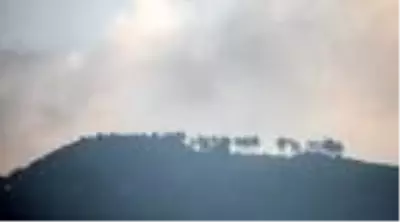 Son dakika haberi | Adrasan'daki yangında 60 hektar ormanlık alan küle döndü Son dakika haberi | Adrasan'daki yangında 60 hektar ormanlık alan küle döndü