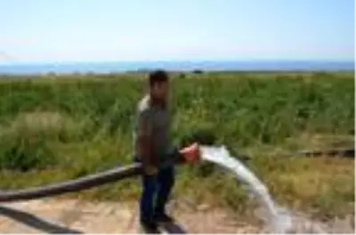 Ağaçtan yapılan çatal çubukla 'su' arıyor Ağaçtan yapılan çatal çubukla 'su' arıyor