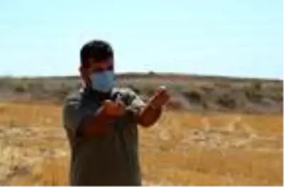 Ağaçtan yapılan çatal çubukla 'su' arıyor Ağaçtan yapılan çatal çubukla 'su' arıyor