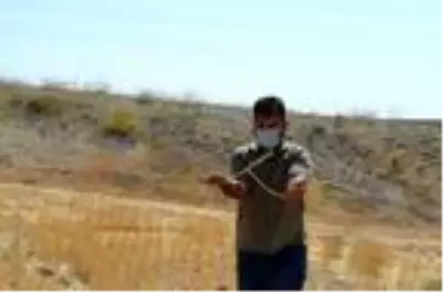 Ağaçtan yapılan çatal çubukla 'su' arıyor Ağaçtan yapılan çatal çubukla 'su' arıyor