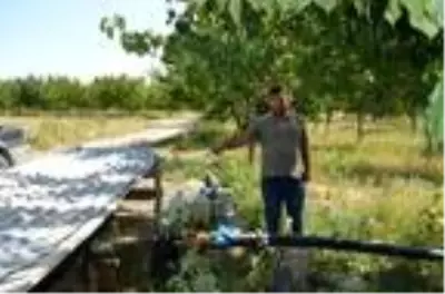 Ağaçtan yapılan çatal çubukla 'su' arıyor Ağaçtan yapılan çatal çubukla 'su' arıyor