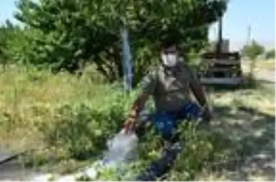 Ağaçtan yapılan çatal çubukla 'su' arıyor Ağaçtan yapılan çatal çubukla 'su' arıyor