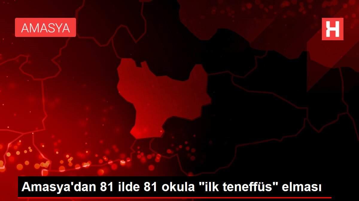 Amasya'dan 81 ilde 81 okula Amasya'dan 81 ilde 81 okula