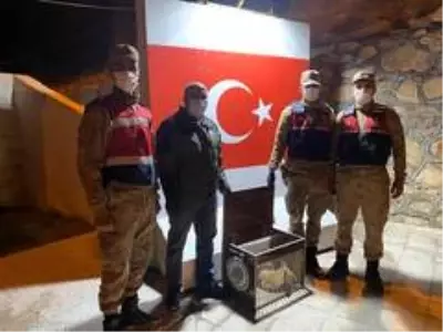 Aracın çarptığı tilki tedavi altına alındı Aracın çarptığı tilki tedavi altına alındı