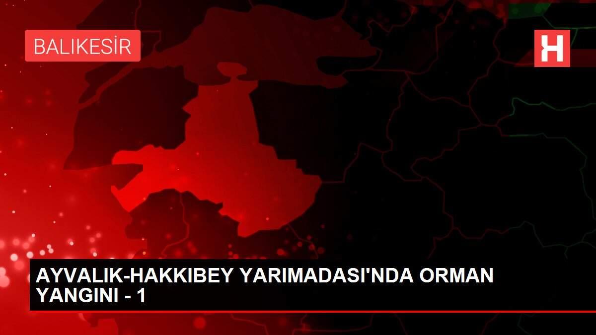 AYVALIK-HAKKIBEY YARIMADASI'NDA ORMAN YANGINI - 1 AYVALIK-HAKKIBEY YARIMADASI'NDA ORMAN YANGINI - 1