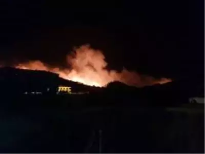 Ayvalık Şeytan Softası'nda orman yangını Ayvalık Şeytan Softası'nda orman yangını