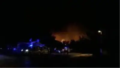 Ayvalık'ta orman yangını Ayvalık'ta orman yangını