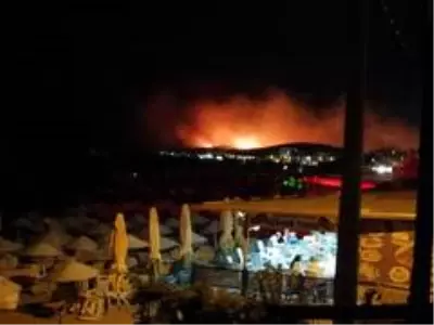 Ayvalık'ta orman yangını Ayvalık'ta orman yangını