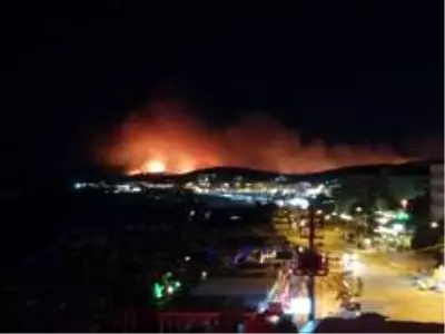 Ayvalık'ta orman yangını Ayvalık'ta orman yangını