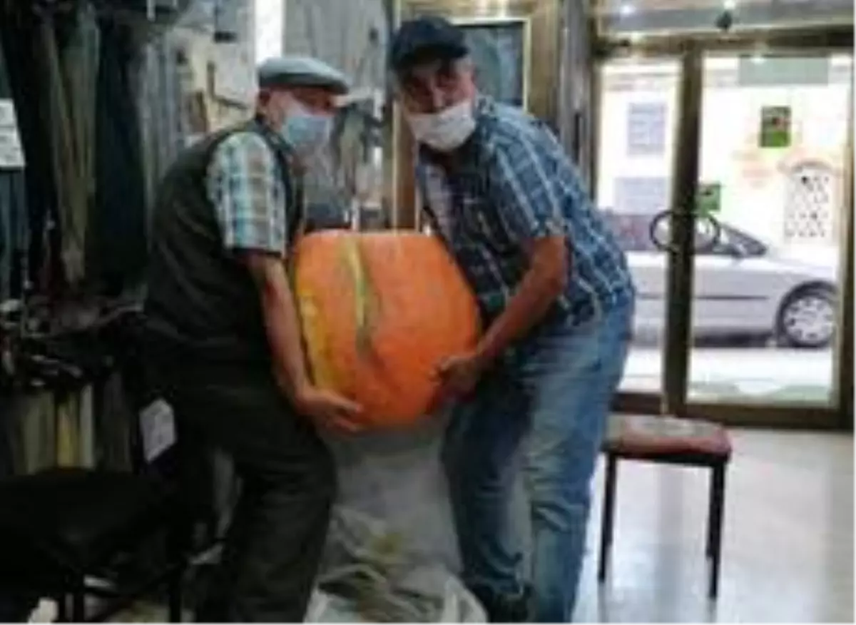 Kütahyalı üretici bahçesinde 40 kiloluk kabak yetiştirdi