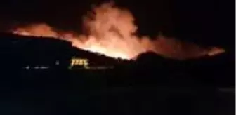 Balcılar: Balıkesir Ayvalık'ta orman yangını çıktı! İtfaiye ekiplerinin müdahalesi sürüyor Balcılar: Balıkesir Ayvalık'ta orman yangını çıktı! İtfaiye ekiplerinin müdahalesi sürüyor