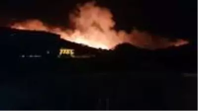 Balıkesir Ayvalık'ta orman yangını çıktı! İtfaiye ekiplerinin müdahalesi sürüyor Balıkesir Ayvalık'ta orman yangını çıktı! İtfaiye ekiplerinin müdahalesi sürüyor