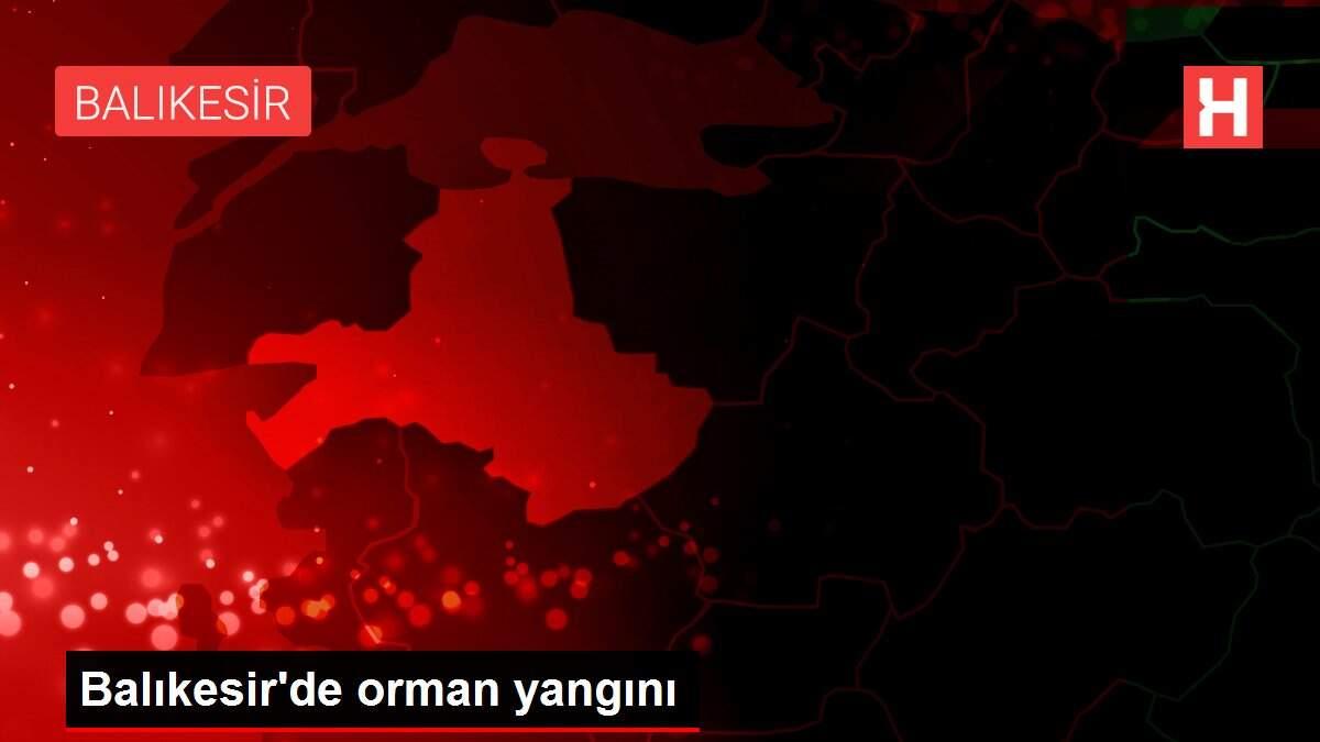 Balıkesir'de orman yangını
