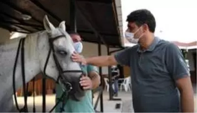 Başkan Kocaman'dan atla terapiye davet Başkan Kocaman'dan atla terapiye davet